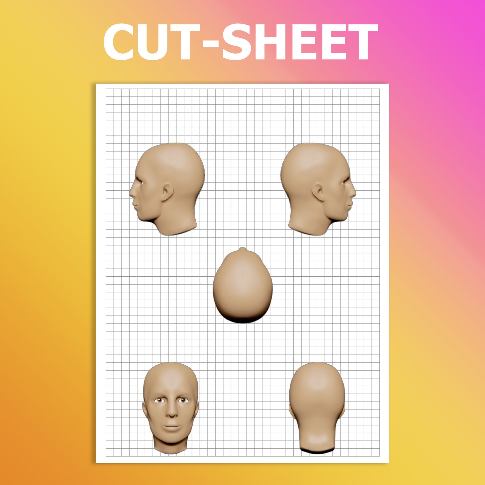 headsheet head-sheet headsheets hair education